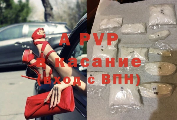 Альфа ПВП Новодвинск