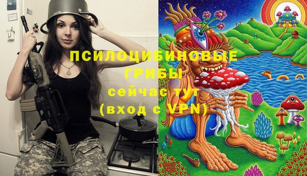 круглые Новозыбков