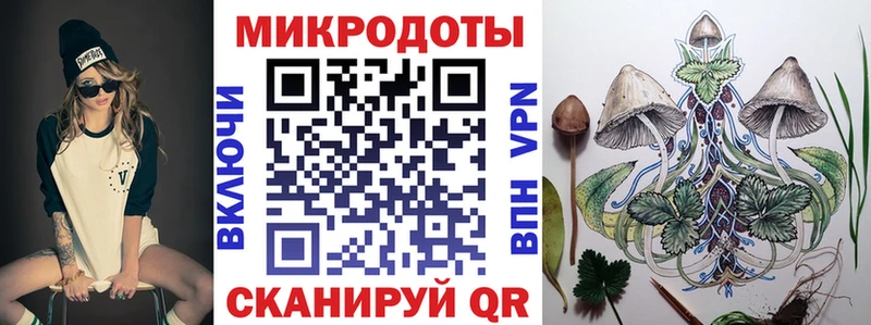 Псилоцибиновые грибы Psilocybe  Исилькуль 