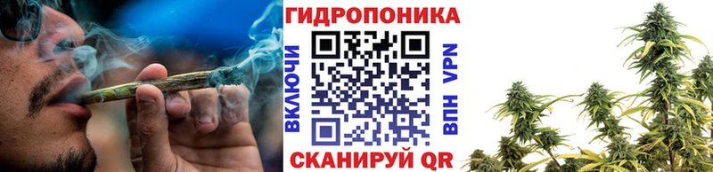 закладки  KRAKEN как войти  Шишки марихуана планчик  Исилькуль 